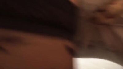 Porn bestiality: real animals sex tubes