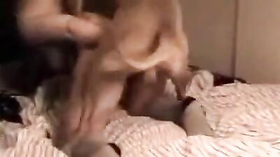 Art of zoo porn: girls crush dog video