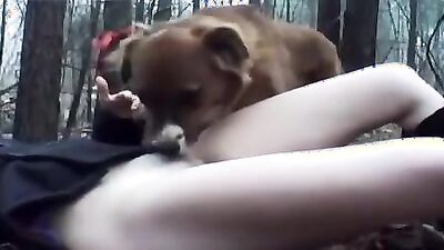Dog sex girl: dog porn 2026