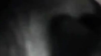 Porn bestiality: the girl who trains dogs story porn