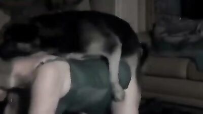 Porn bestiality: the girl who trains dogs story porn