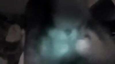 Porn bestiality: the girl who trains dogs story porn