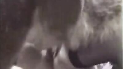New zoo porn: bestiality piss porn