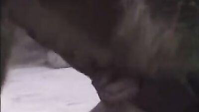 New zoo porn: bestiality piss porn