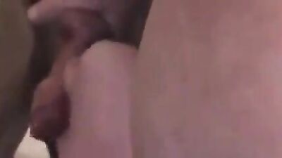 Dog pussy girls: retro dog porn