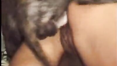 Bestiality games: dog fuck tomoko kuroki porn animation