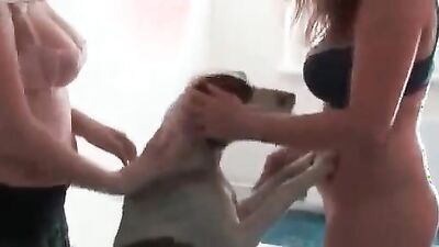 Zoo fuck porn: sex dog and russia women