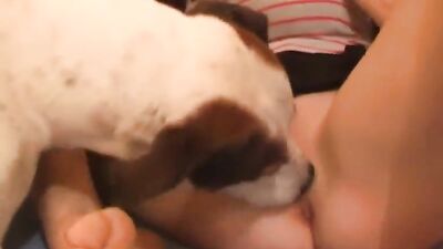 Teen zoo porn: porn bestiality josie anal boar