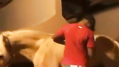 Boy girl dog: zoo porn no penetration