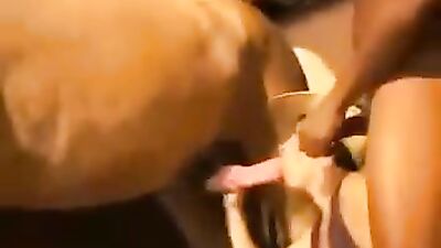 Boy girl dog: zoo porn no penetration