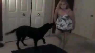 Dog get girl: art of zoo new