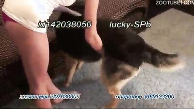 Zoo sex video: zoo porn big dick and girl