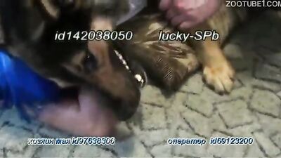 Zoo sex video: zoo porn big dick and girl