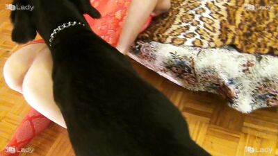 Ashley Animal Temptations K9lady 1080p