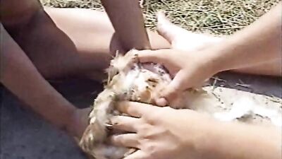 Lesbian and bestiality sex