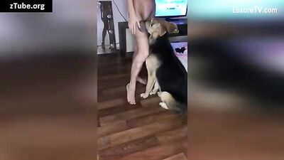 artofzoo russian sonya - zoofilia k9 cock lover