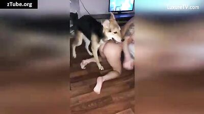 artofzoo russian sonya - zoofilia k9 cock lover
