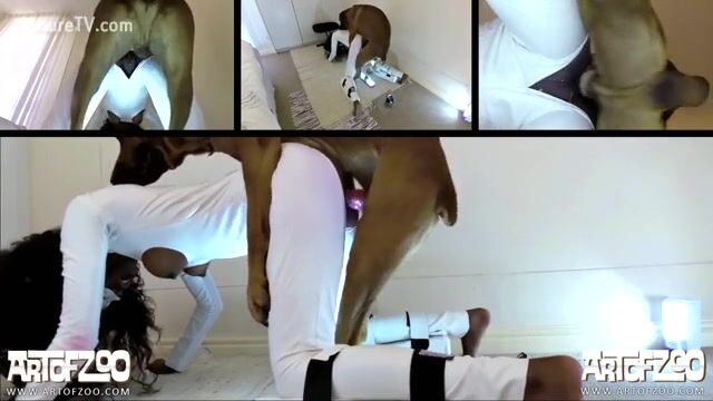 super sexy ebony fuck dog hard money penny 1