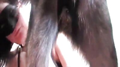 Sensational Sensations: KinkCafe's Vixen Getting Off at Artofzoo HD - zooz.club