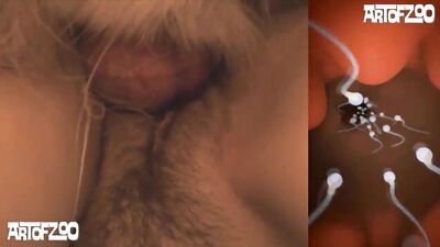 Unlock the Artful Beauty of Domino, Pippa and Elvis in Art of Zoo HD - zooz.club
