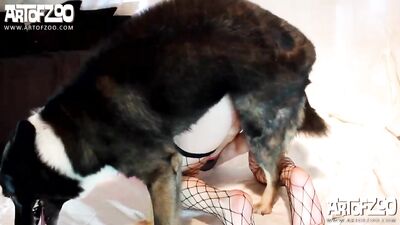 Experience Pet-Loving Perfection with ArtofZoo's Vixen Pet Mix 2 - Art Of Zoo HD - zooz.club