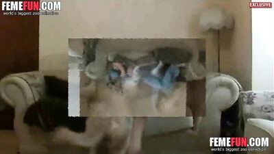 Horrifying Young Slut Has Sex for Free with Dog in Shocking Dog Porn Video - zooz.club