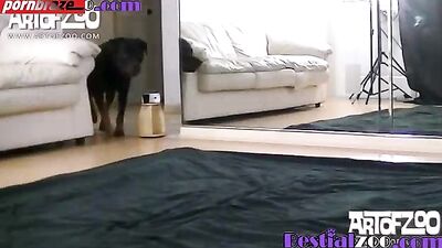 Unbelievable Witness the Phenomenon of Bestiality Art: Woman Takes Dog Dick Inside Her Pussy - zooz.club