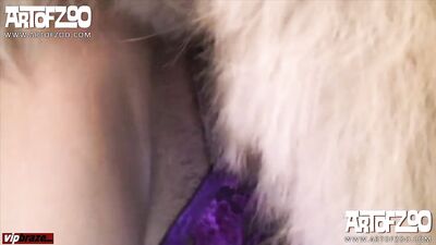 GirlFriend Engages in Shocking Animal Fling at ArtOfZoo Zoo - zooz.club