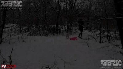 Witness the Incredible Bond Between Animals and Humans in this Heartwarming HD Video - zooz.club