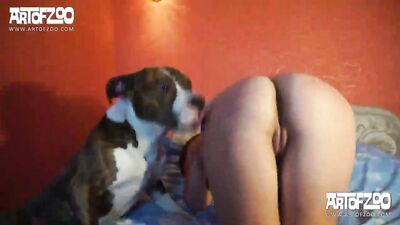 Discover the Enchanting Art of Mary – ArtofZoo HD - zooz.club
