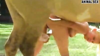 Wild Stallion Takes Girl on a Wild Ride: Smart Horse Shows Off His Moves from Behind