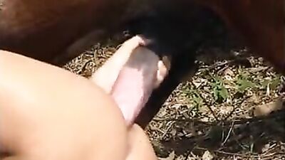 Triple the Fun with a Threesome Involving a Horse