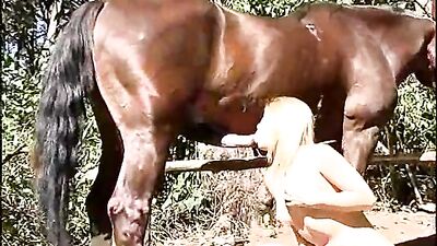 She Said Yes Witness the Unbelievable Moment of Horse Big Dick's Public Fucking of a Young Woman