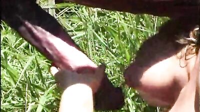 Villagers Rejoice as Horse Porn Becomes Free and Easily Accessible