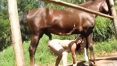 Villagers Rejoice as Horse Porn Becomes Free and Easily Accessible