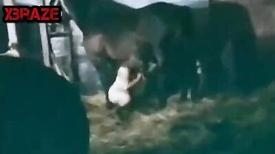 Mature Woman Shows Her Love for Horse by Sucking Its Dick