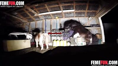 She Dared to Take on a Big Horse's Cock and the Results Were Staggering