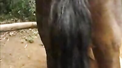 Girl Takes Wild Ride on Horse, and It's Quite a Ride