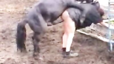 Big Horse Takes On Tiny Challenge - See the Epic Results