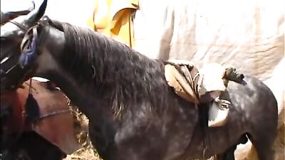 Watch in Awe as Big Dick Horse and Deep Pussy Girl Create Magical Moments