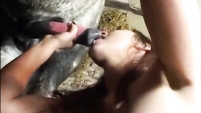 Girl Swallows Horse: Uncover the Wildly Surprising Phenomenon of Horse Porn