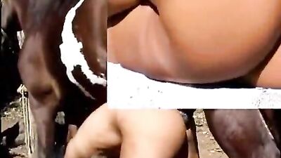 Surprising Secret to Achieve Unprecedented Success: Jerking it off Big Horse's Cock