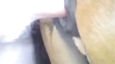 The Most Incredible Transformation: Human to Sexy Butt Horse