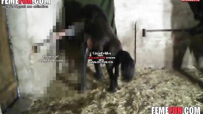 Wild Orgy Dirty Whore Enjoys Horse Dick in Her Cunt