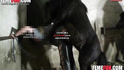 Wild Orgy Dirty Whore Enjoys Horse Dick in Her Cunt