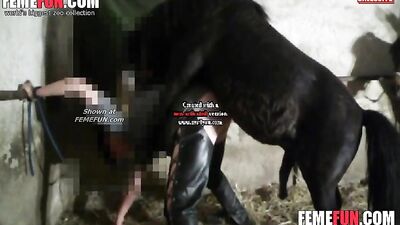 Wild Orgy Dirty Whore Enjoys Horse Dick in Her Cunt