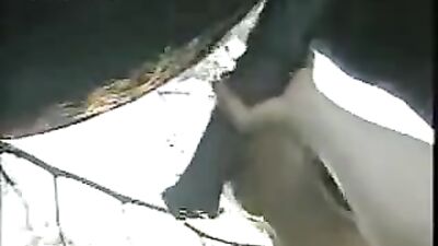Husband's Shock Discovery: His Horse Engaged in a Vicious Act with His Wife
