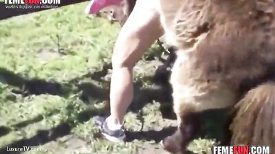 Witness the Unbelievable: Deepthroating a Huge Horse's Dick in Animal XXX
