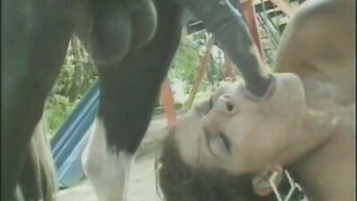 Horrifying: Woman Victim of Horse Bestiality Fucking