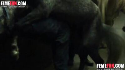Shocking: Teen Girl Engages in Unimaginable Act with Horse - Porn Horse